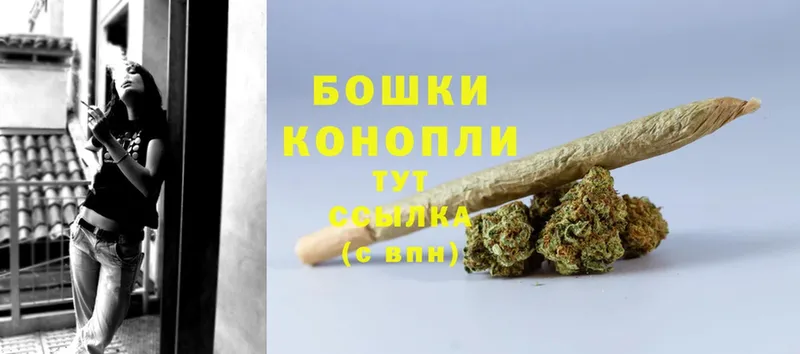 Бошки Шишки THC 21%  Кукмор 